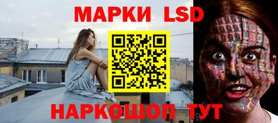 крисы Моздок