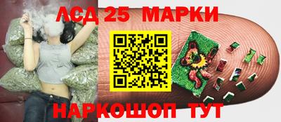 крисы Моздок