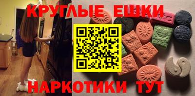 крисы Моздок