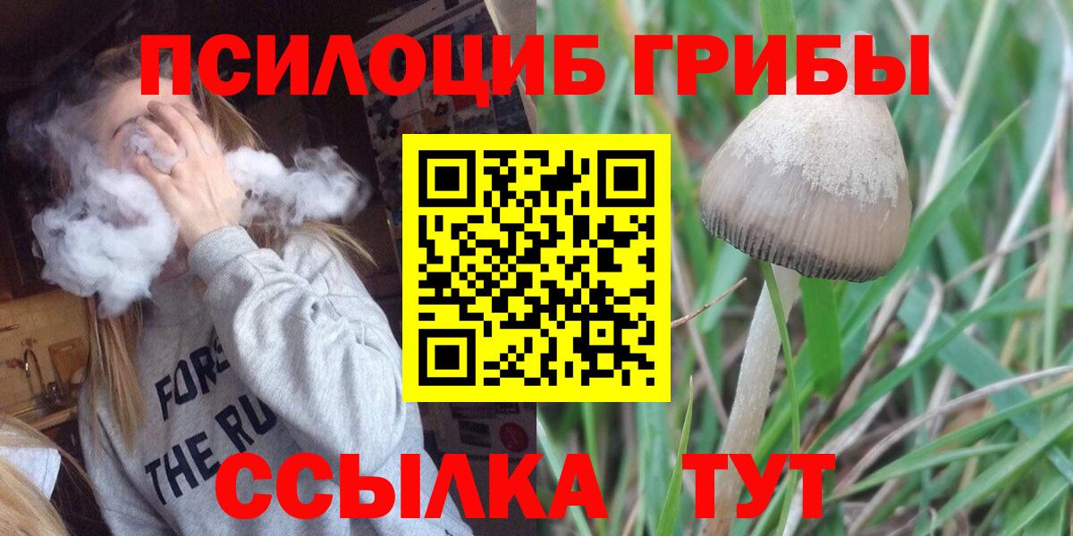 Псилоцибиновые грибы Cubensis Жигулёвск